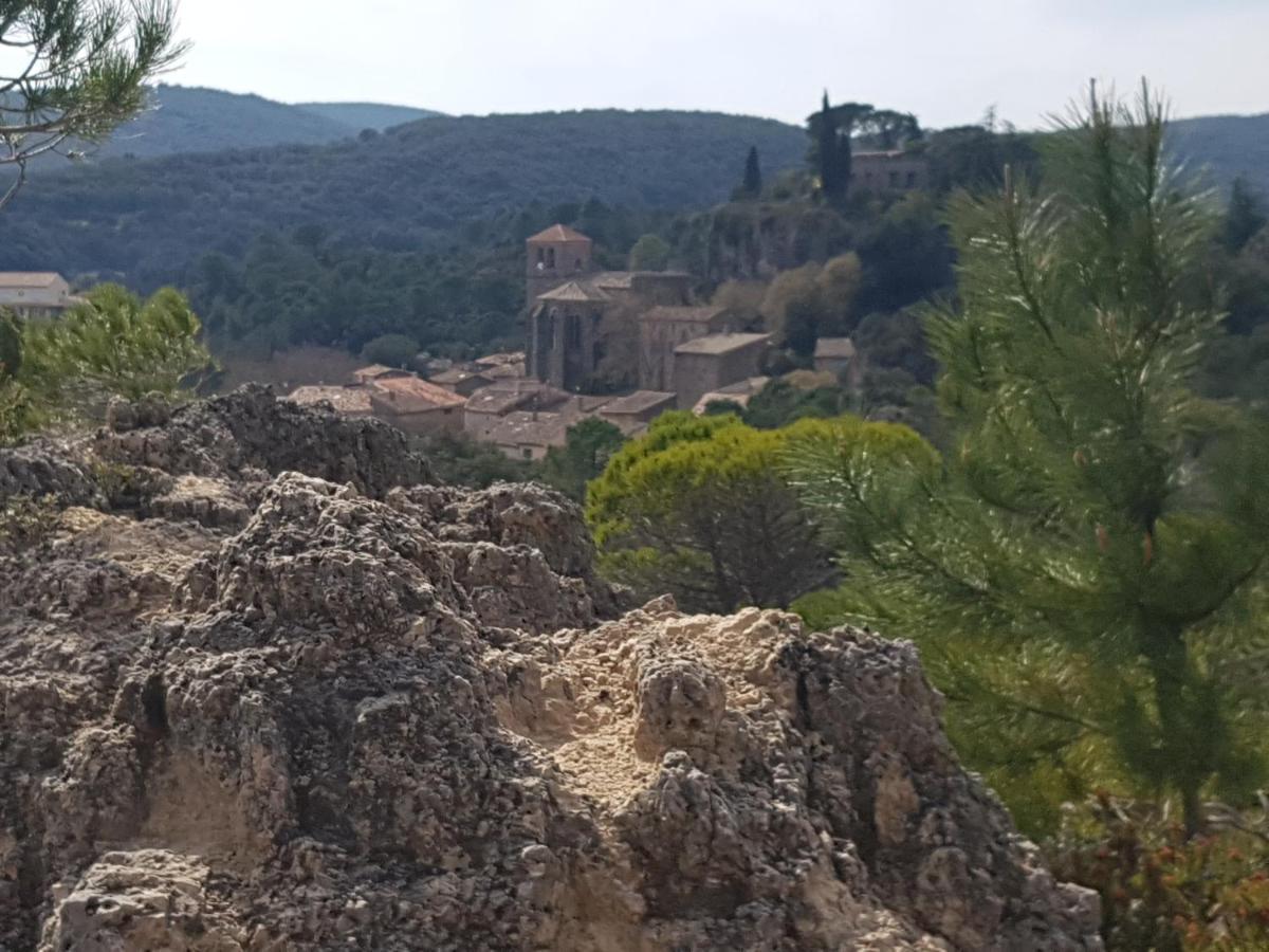 Val de Bruyères - Gîte 6 personnes 4étoiles Neffies Extérieur photo