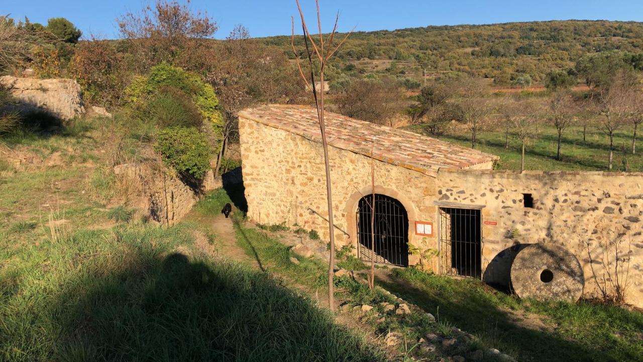Val de Bruyères - Gîte 6 personnes 4étoiles Neffies Extérieur photo